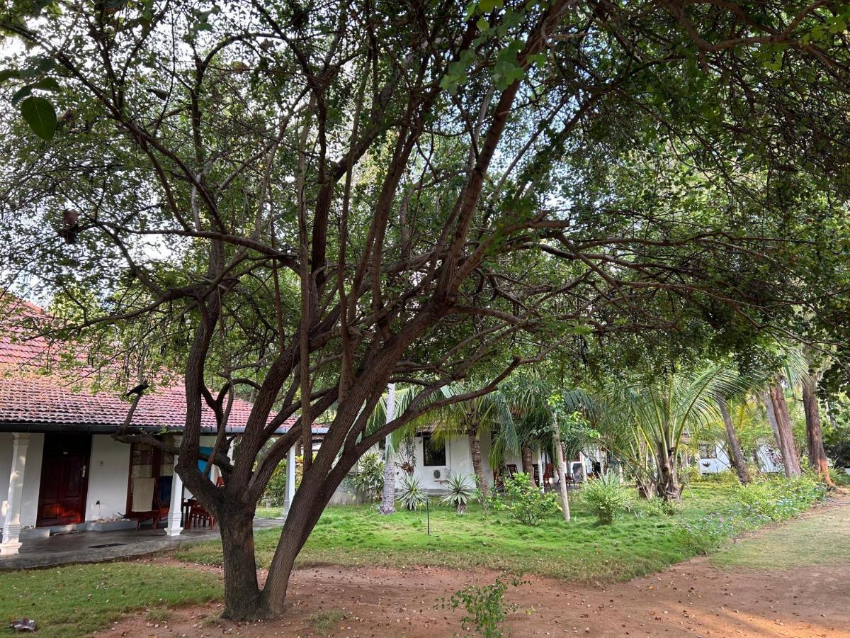 108 Palms Beach Resort Trincomalee Eksteriør bilde